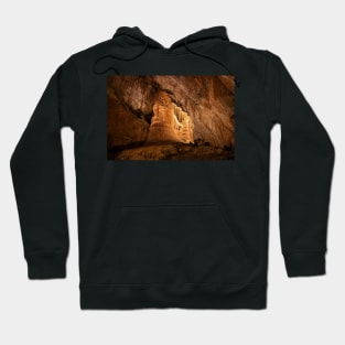 The Giant Pipe Organ Hoodie